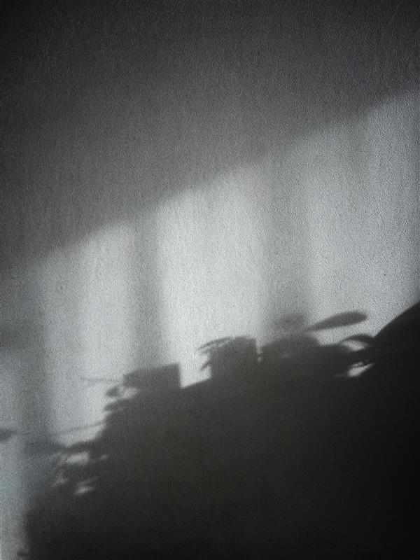 Tussen beeld en muziek