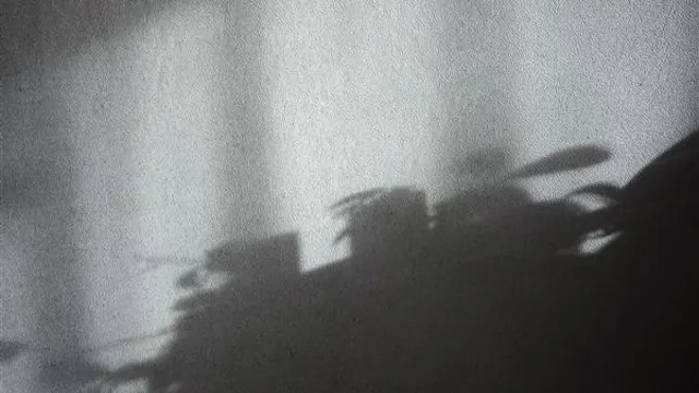 Tussen beeld en muziek