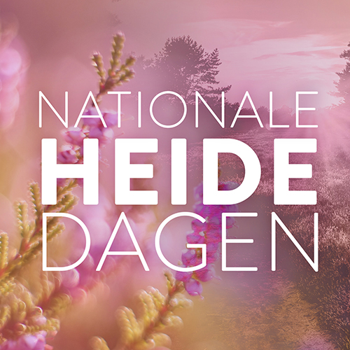 Nationale heidedagen