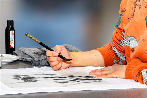 Sumi-E - voorjaar 2026