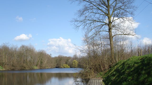 Bomen herkennen in de winter: knoppenwandeling in het Waggelwater