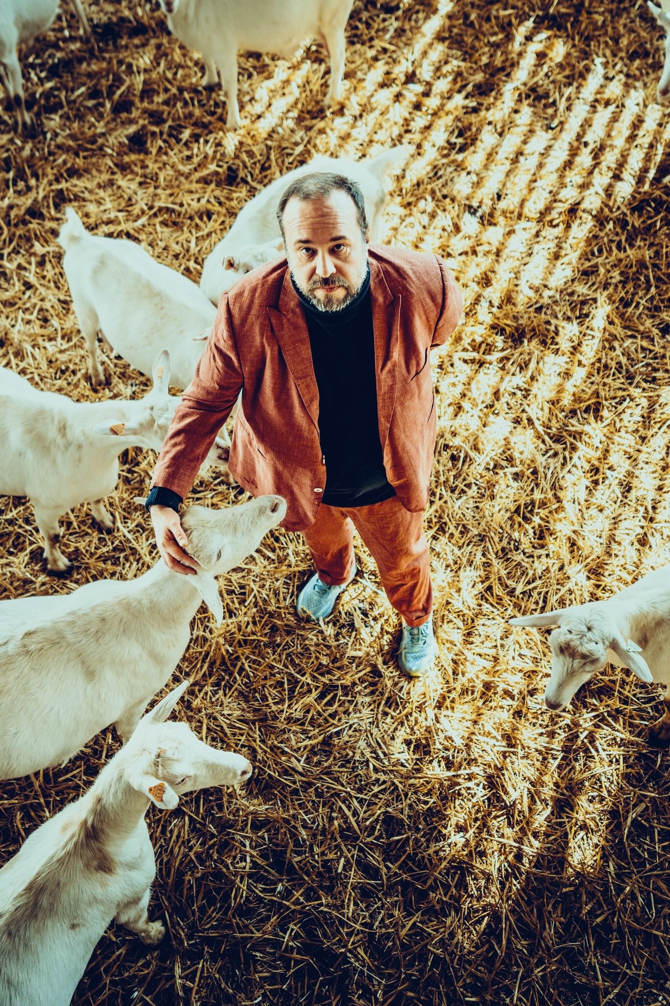 Iwein Segers comedy Hamont-Achel