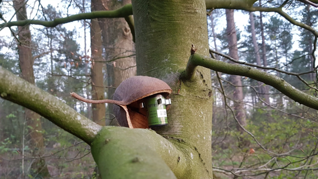 Hoog-laag geocaching