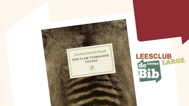 Een vlam Tasmaanse tijgers