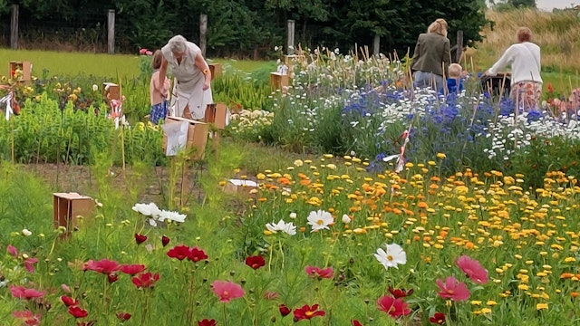 Je eigen bloemen plukken in de plukken