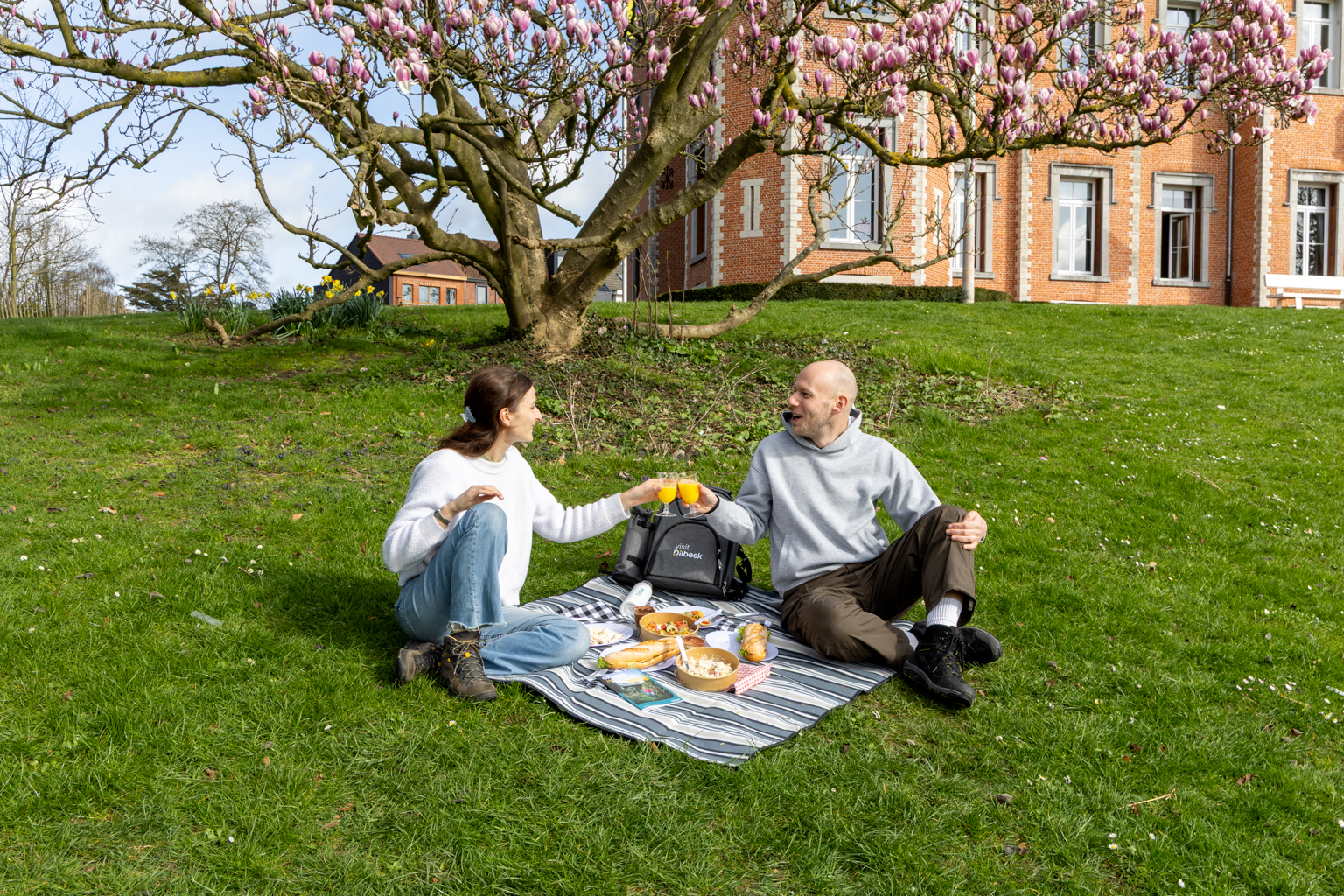 Picknicken in het park