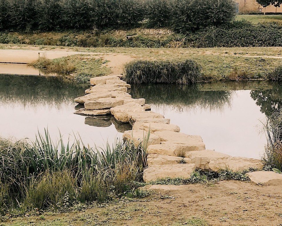 Dansworkshop: reis rond de wereld in het Kapermolenpark Hasselt