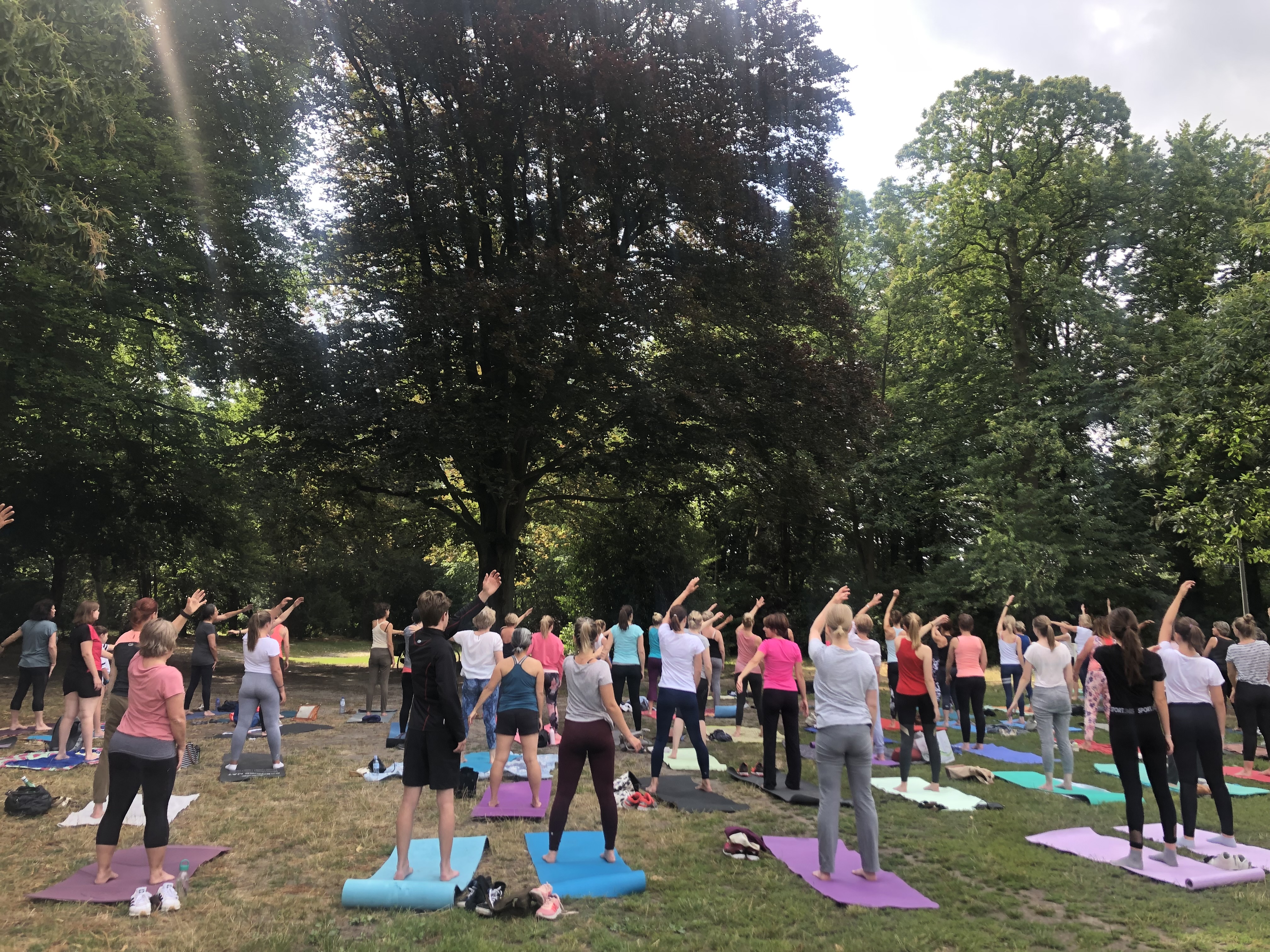Lessenreeks yoga in het groen
