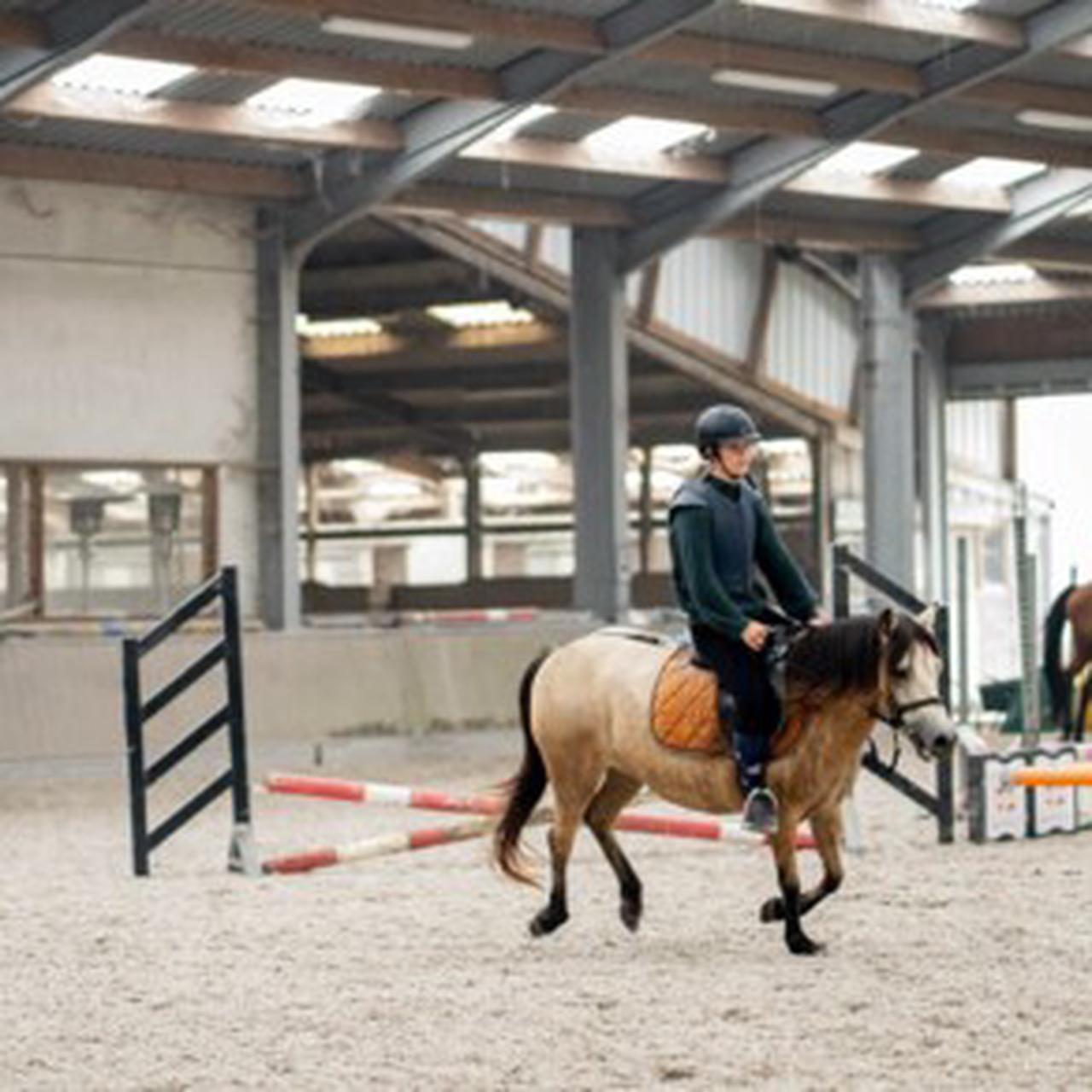 Paardrijden vlakbij Gent