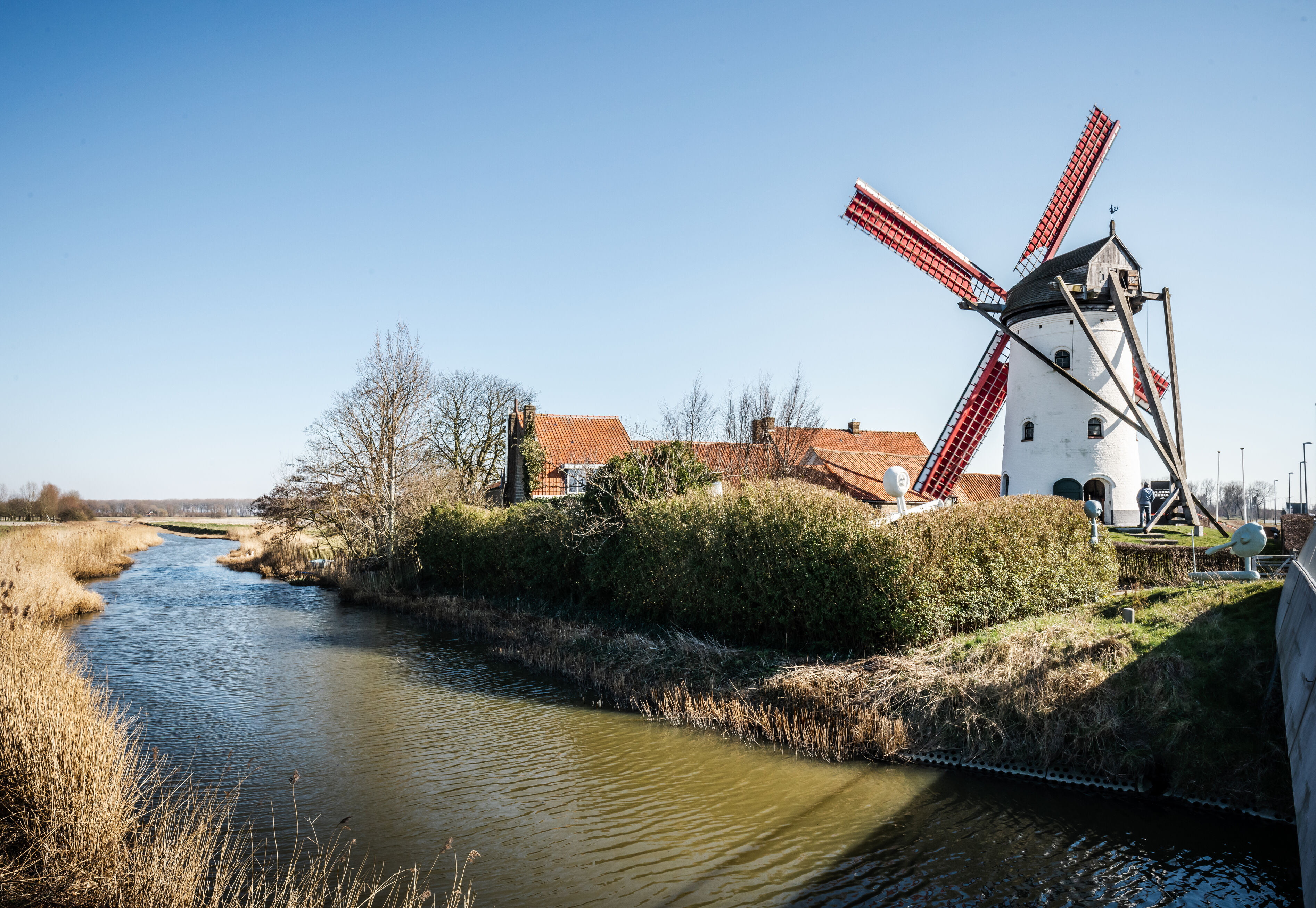 Molen van Hoeke (in volle glorie)