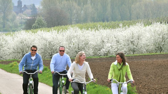 Fietsen tussen de bloesems