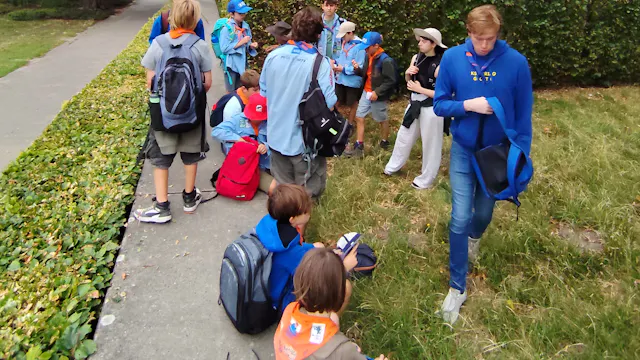 Zomerkamp