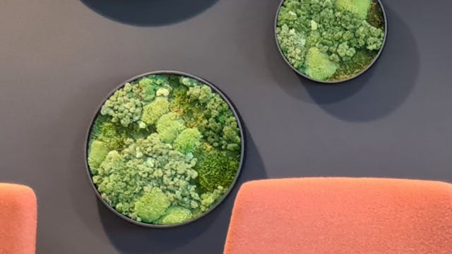 cdd3f3cb2dc25974737353e745852dcd