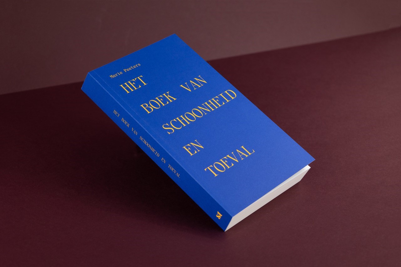 Het boek van schoonheid en toeval