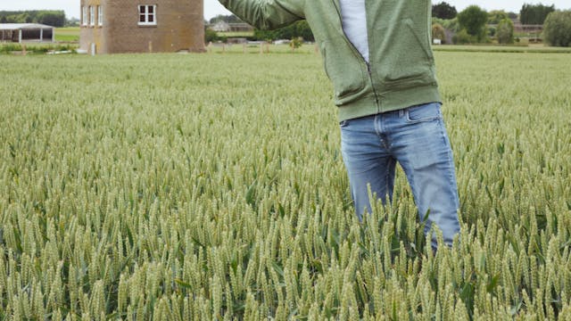 Painting hunt duitse toren