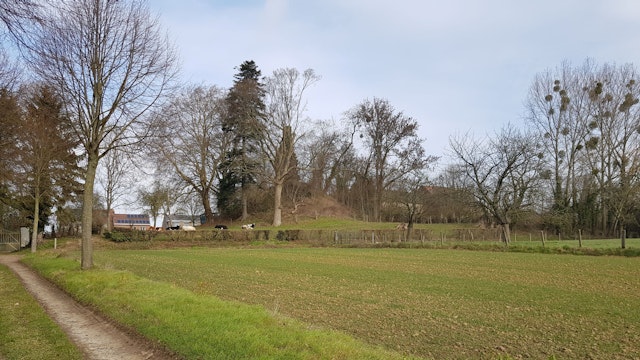 Tumulus langs de Romeinse weg in Herderen