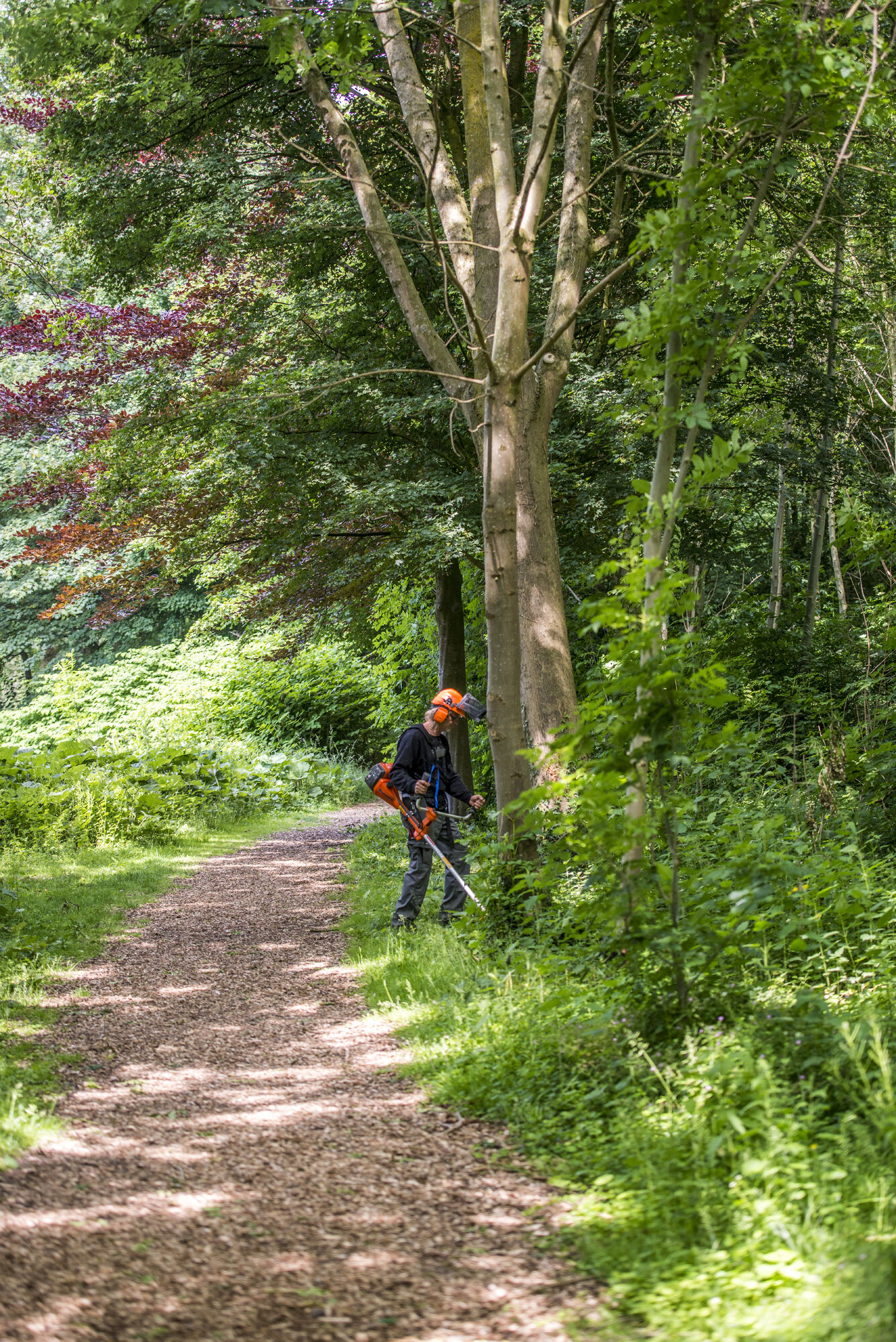 arbeider in het bos