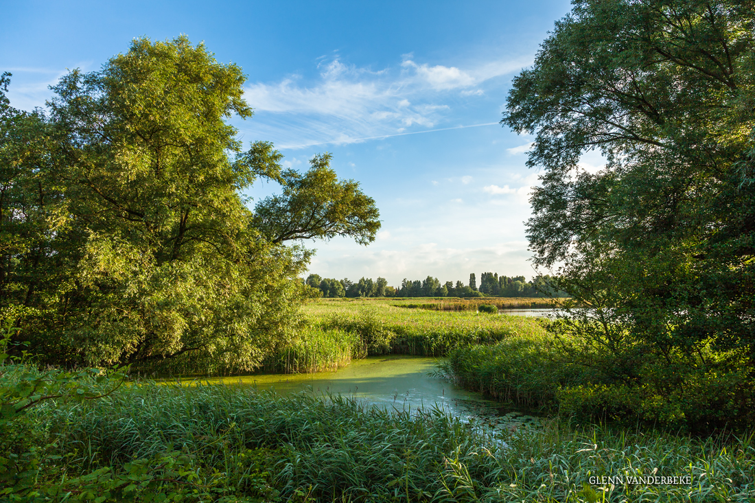 Natuurgebied Molsbroek in het Waasland