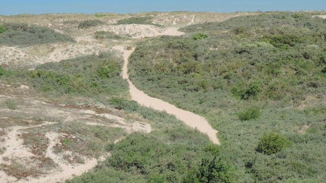 Schipgatduinen