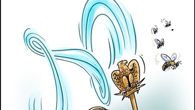 Afbeelding1 Napoleon 2.jpg