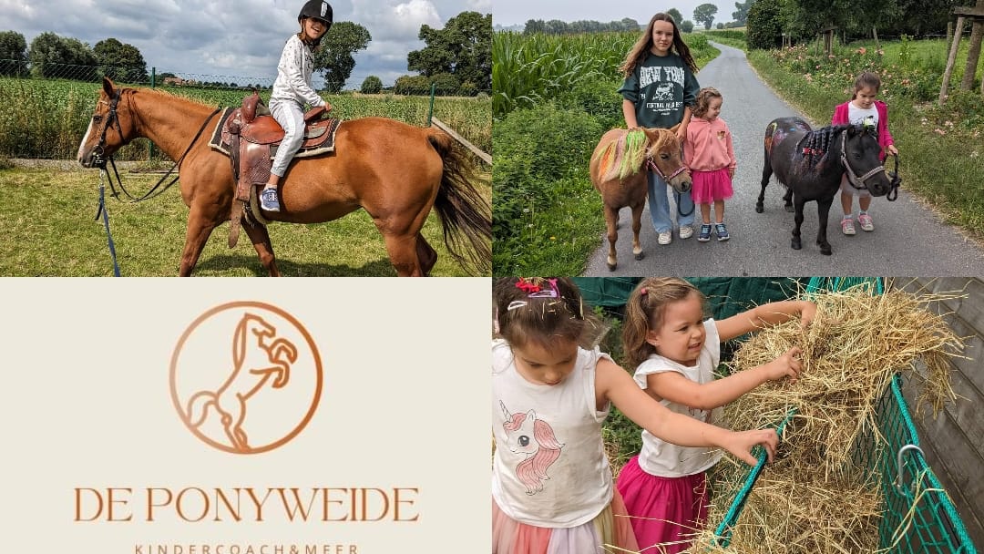 De Ponyweide