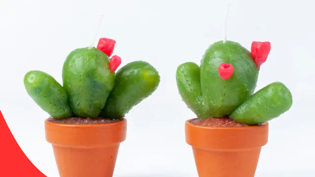 Prikkelende kaarsen workshop