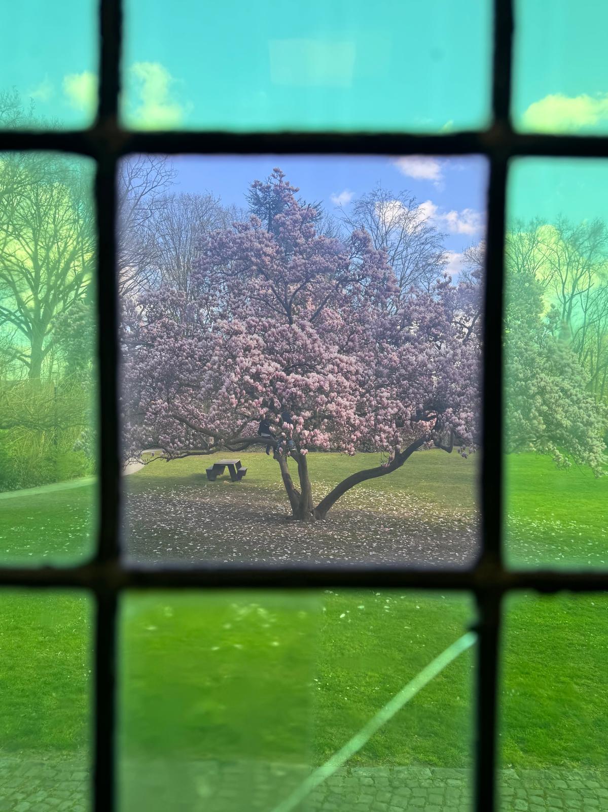 Kasteel Hof d'Intere