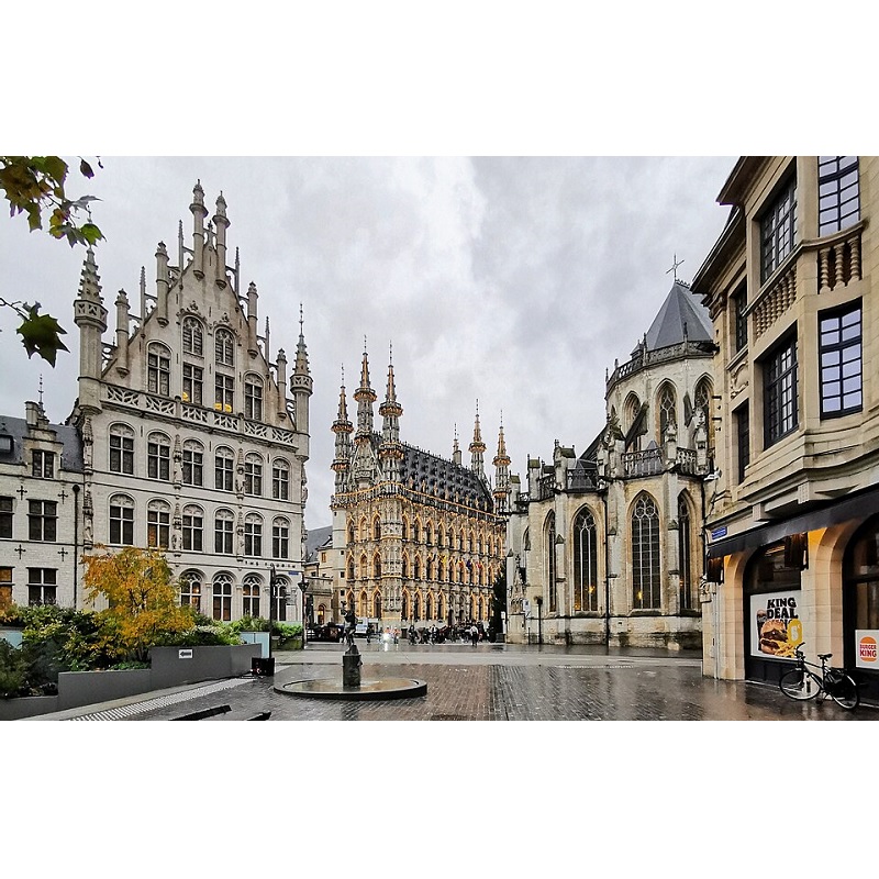 CITYTRIP LEUVEN