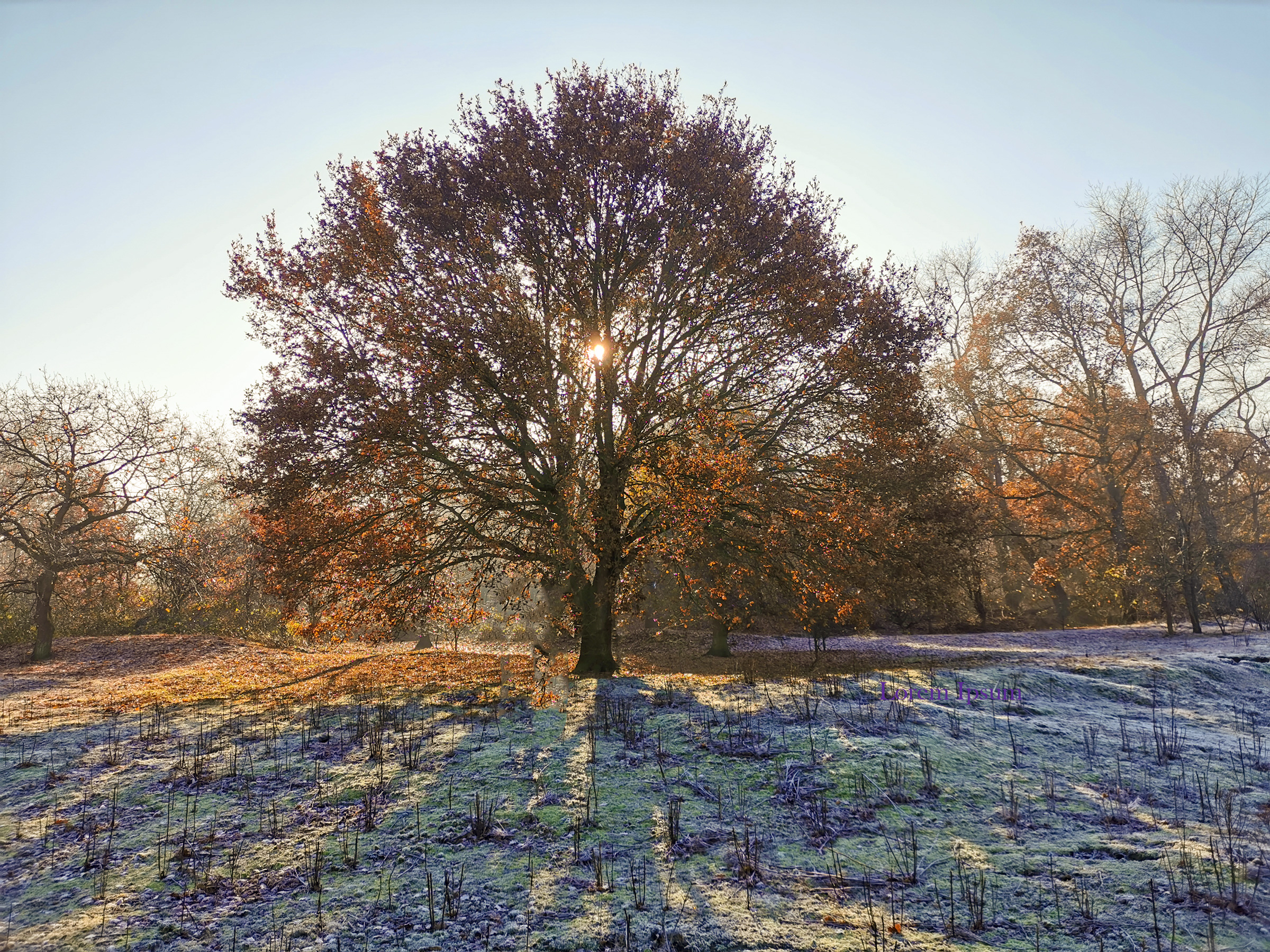 De verstilling in mens en natuur