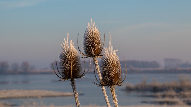 Notendopwandeling