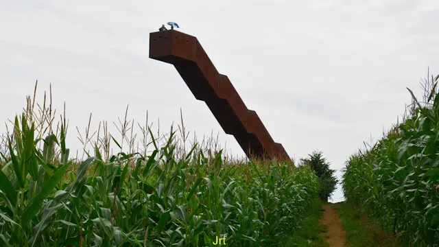 De Vlooybergtoren