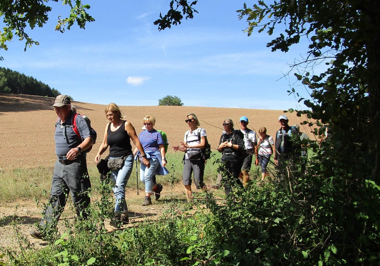 IMG_6933 - bijgeseden (1).jpg