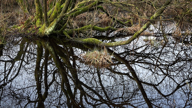 de kracht van water