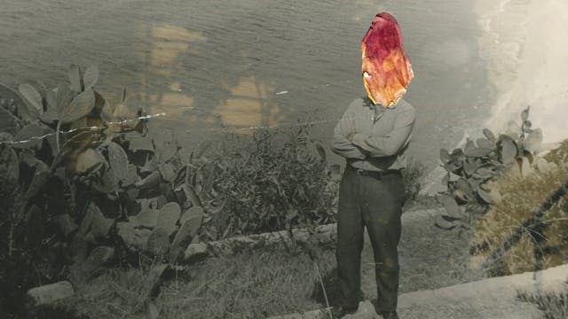 Film: Between Delicate and Violent