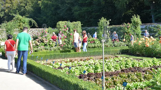 Bezoek Museumtuin