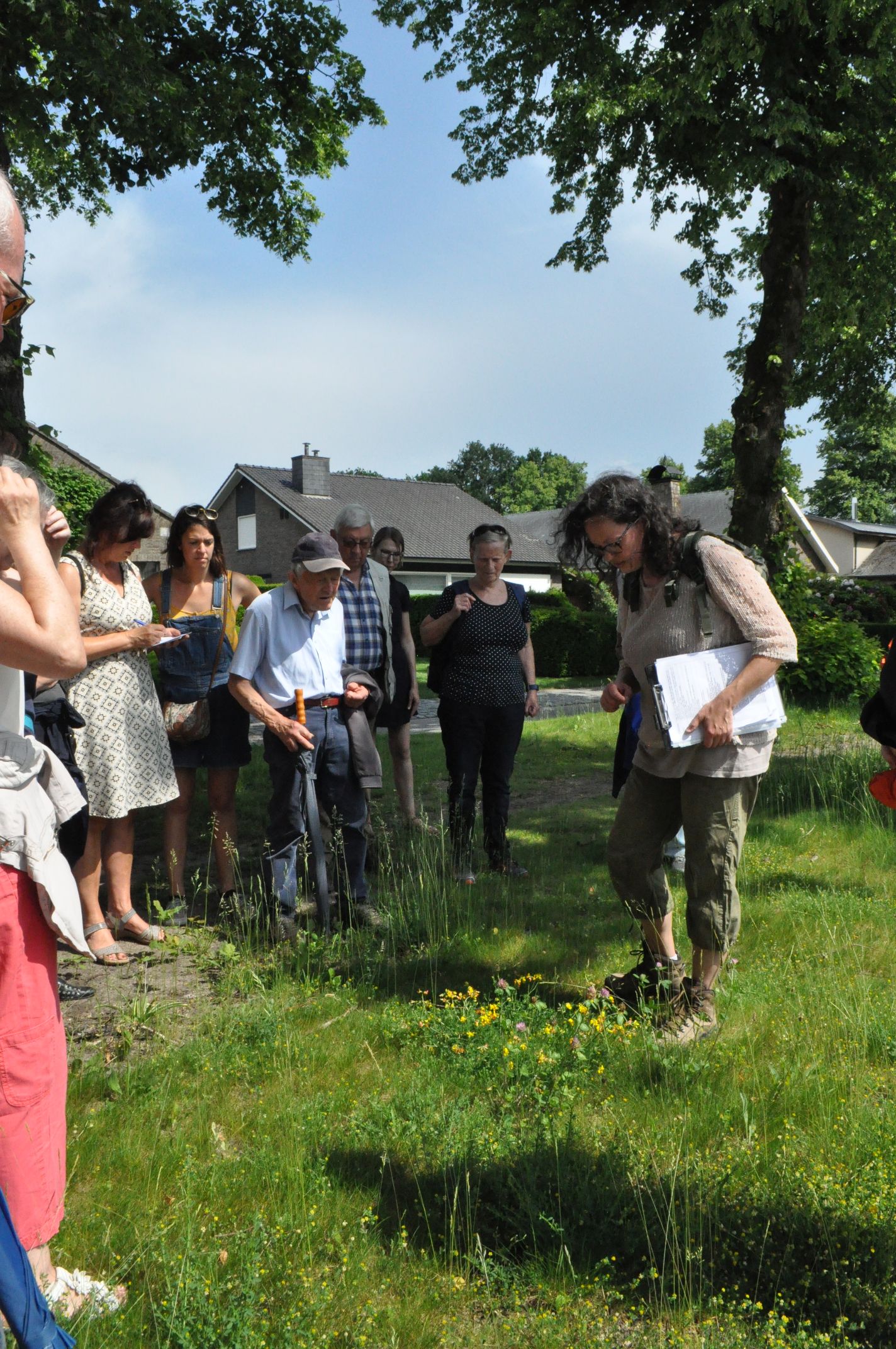 Kruidige lentewandeling met Anja Blondeel