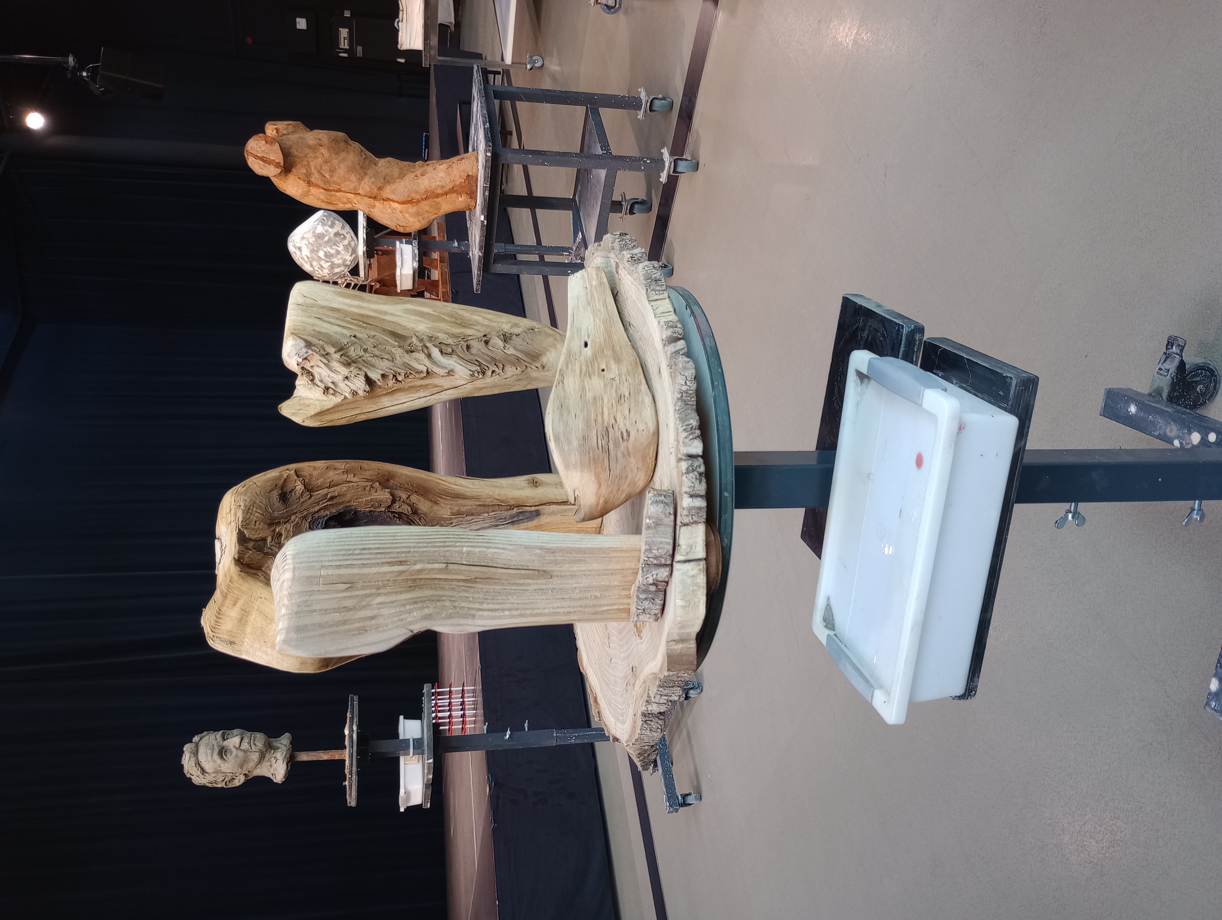 Kunstacademie Noord-Limburg-Beeldhouwkunst in Beeld