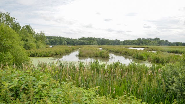 zicht op de waterpartijen in het Molsbroek