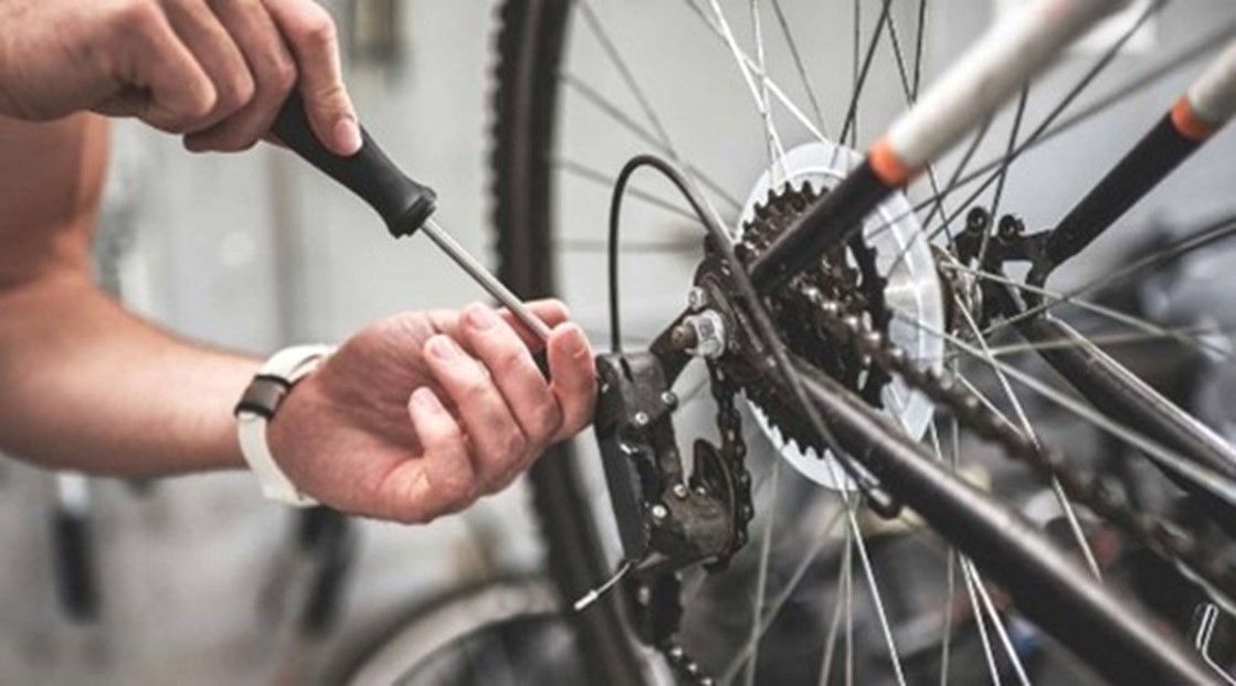 Image for gzbd activity