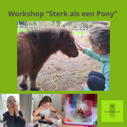 Sterk als een pony