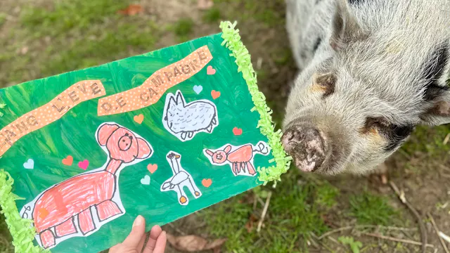 Jeugdboekenmaand op Schoolhoeve De Campagne