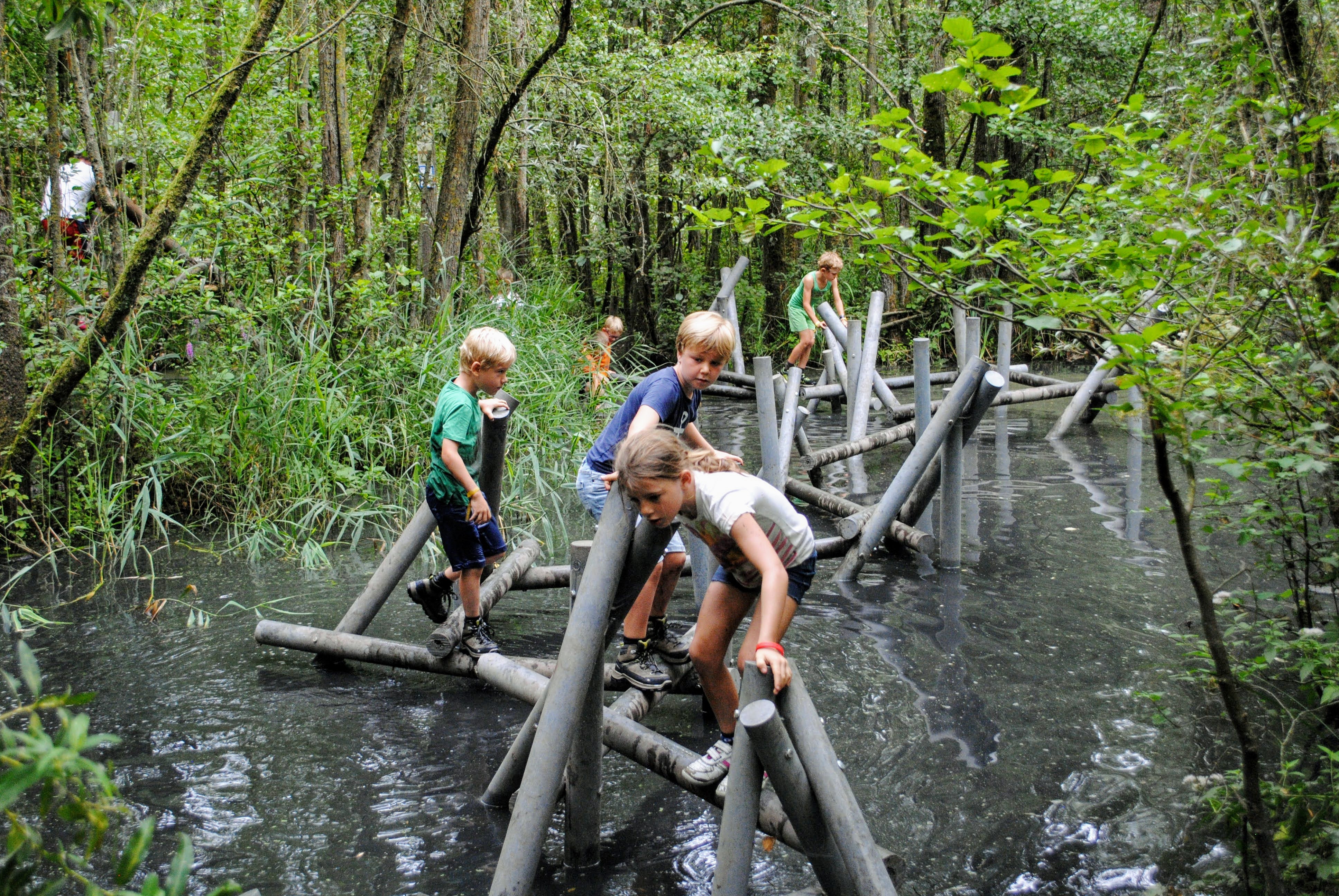 Outsider Safari - Externaat