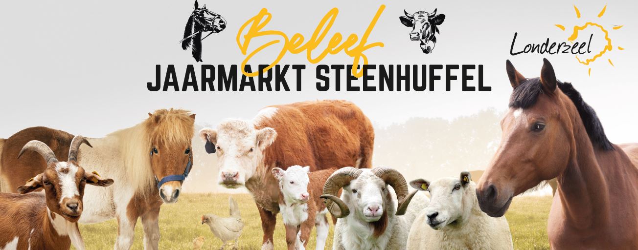 Jaarmarkt Steenhuffel