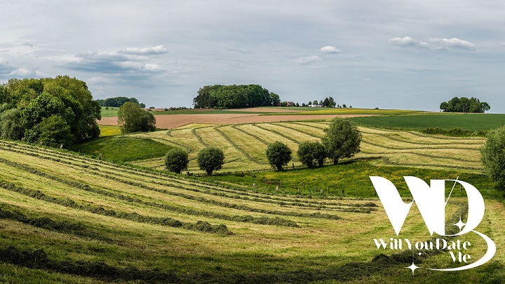 Singles Wandeling door Pajottegem