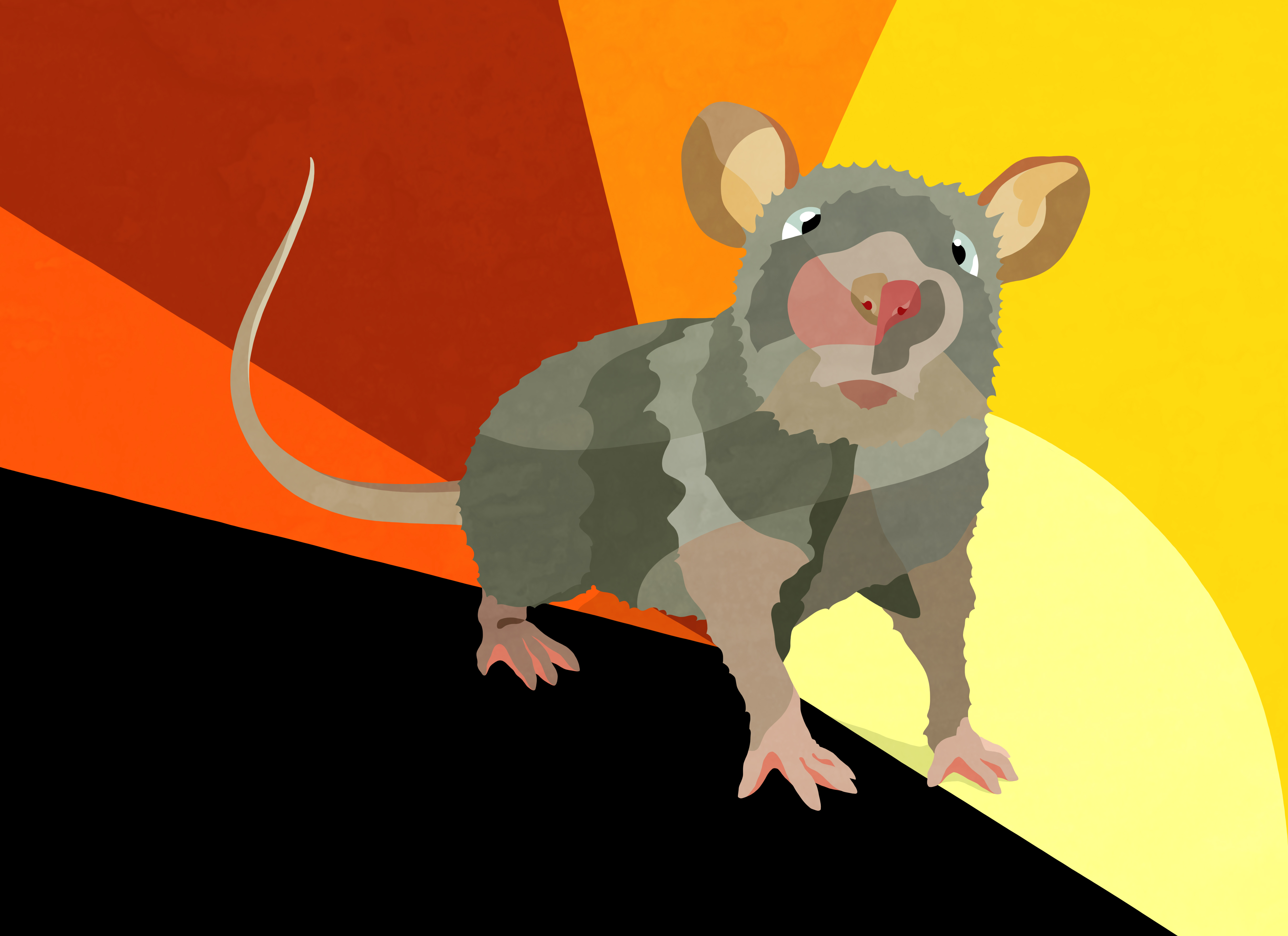 Sozyone Gonzalez UB’s-2015