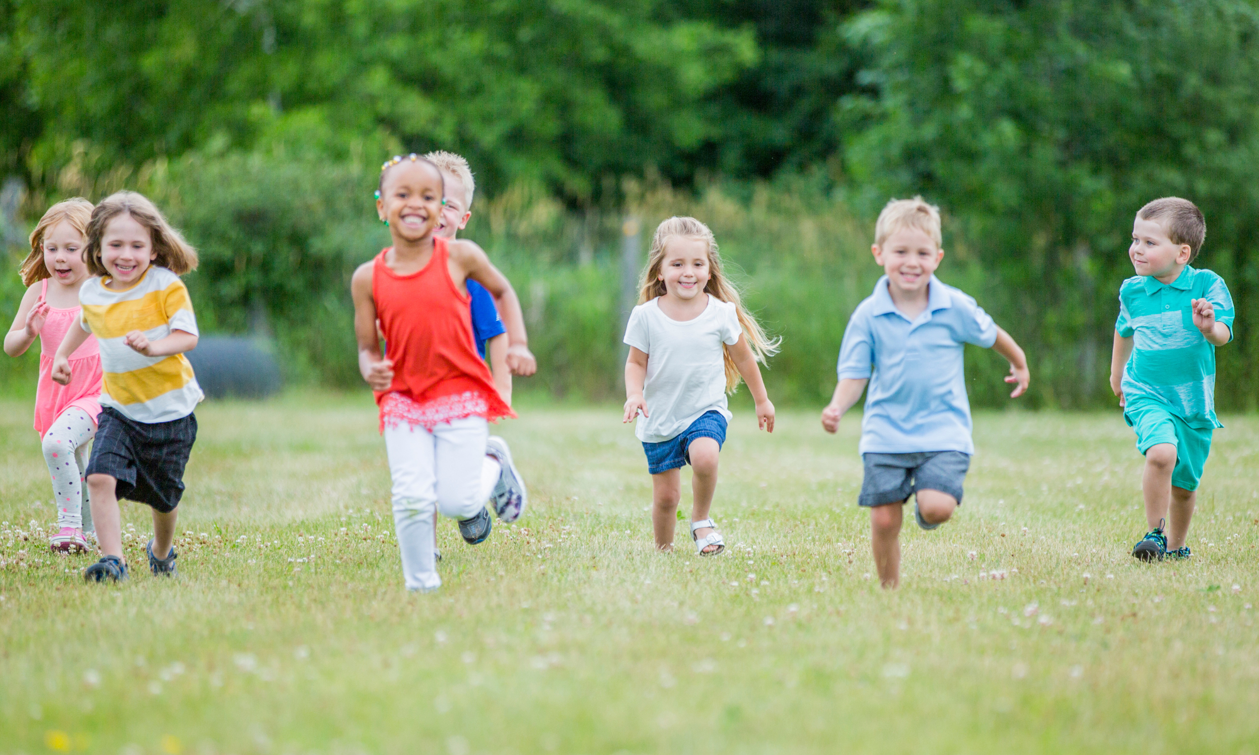themafoto Ferm Kleutervakantiewerking
