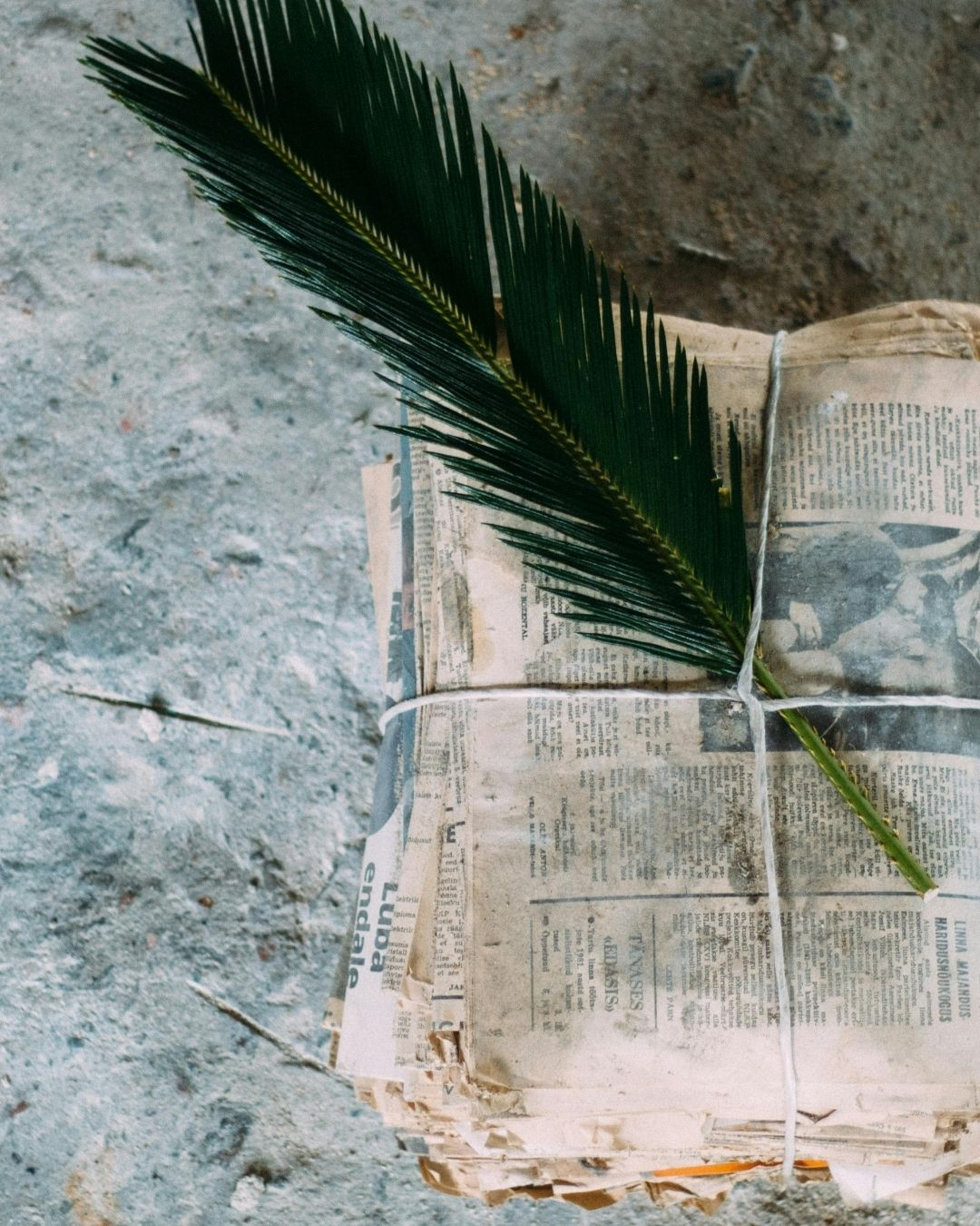 Novels and News: exploring the nineteenth-century mass media