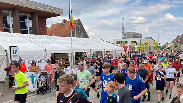 Image for gzbd activity