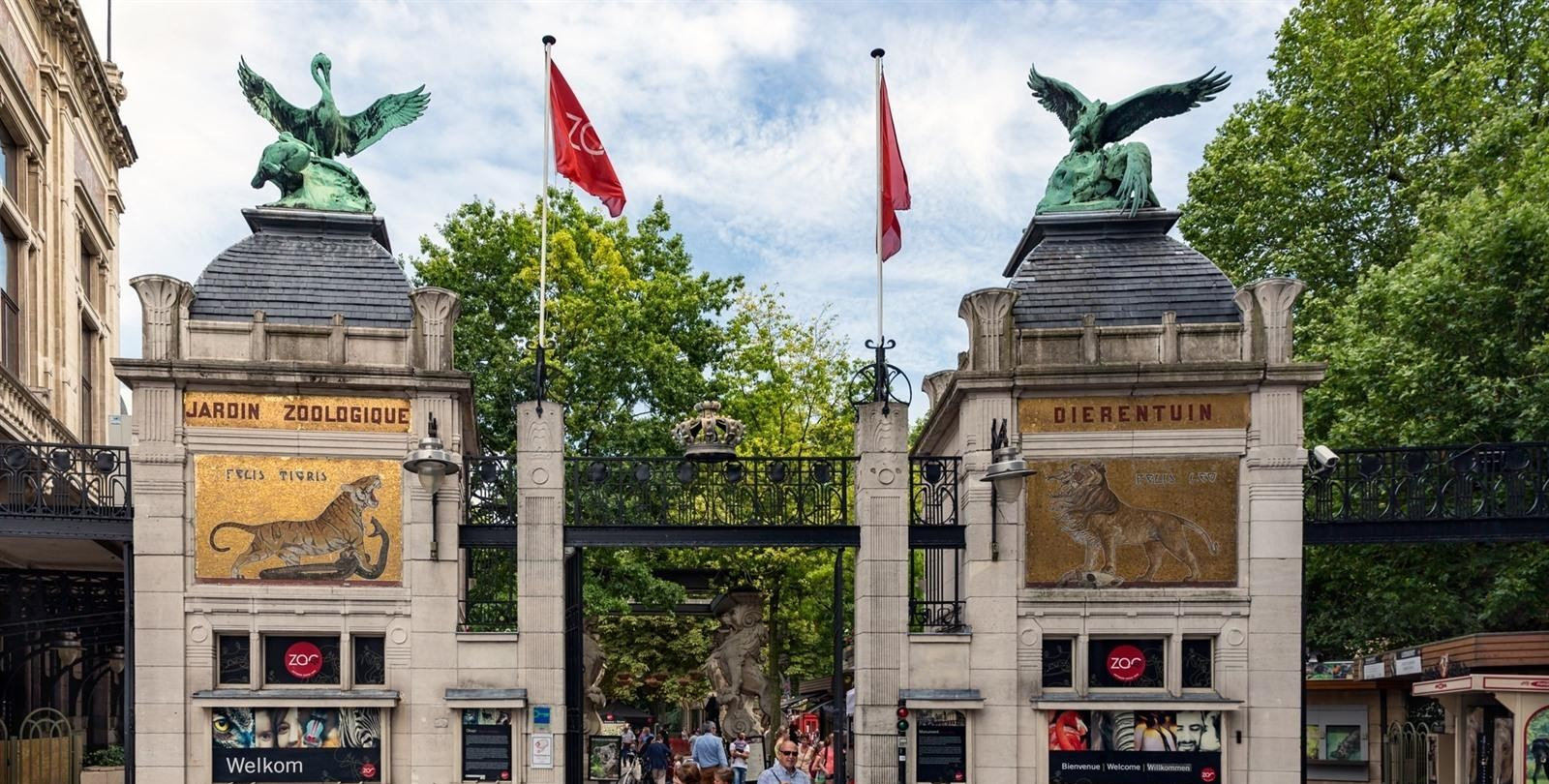 Afbeelding voor evenement Uitstap Zoo Antwerpen