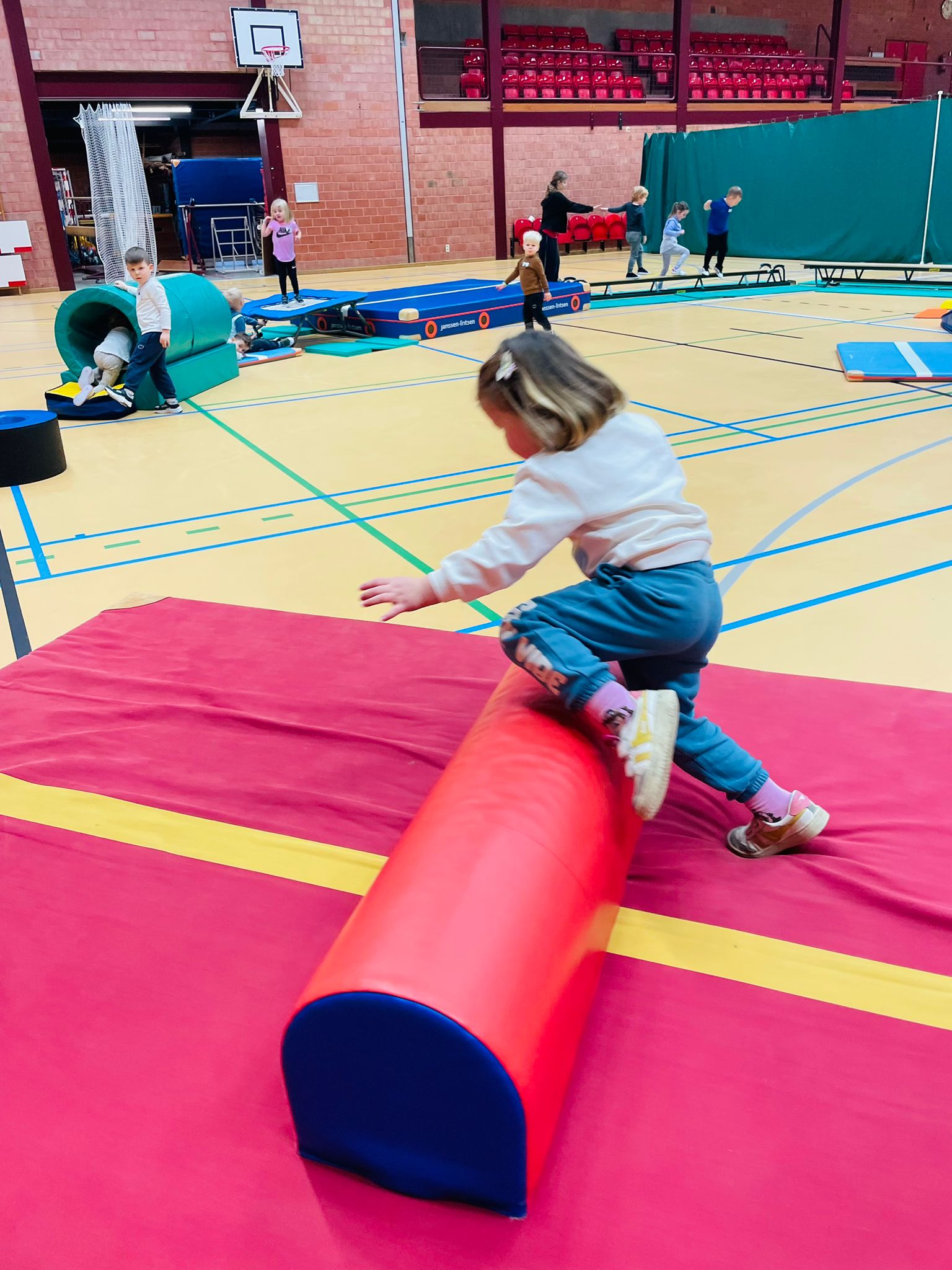 Kleuterkamp meeuwen.jpeg